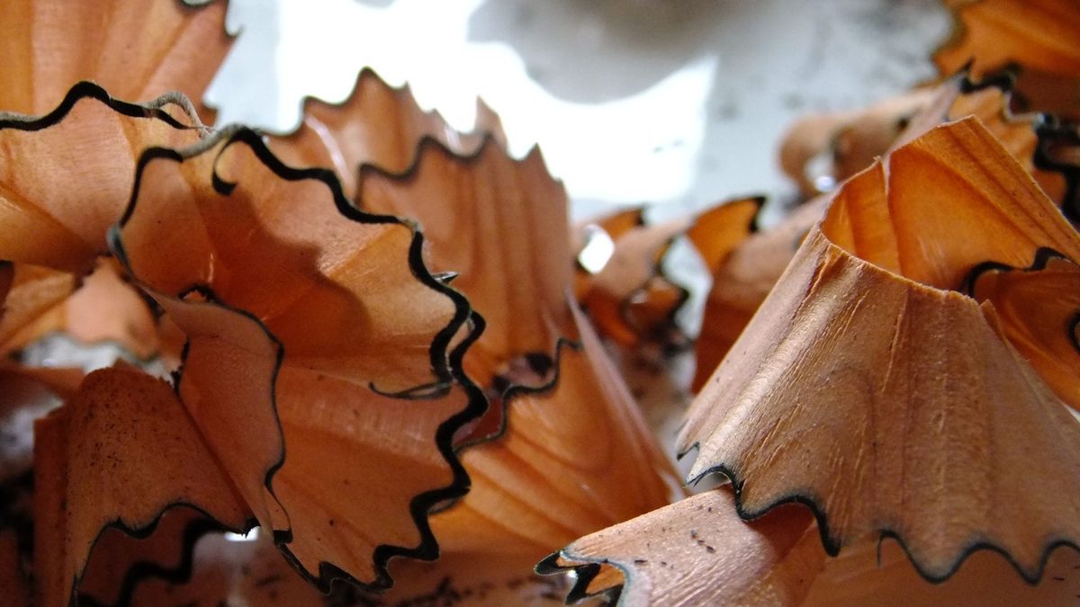 Macro photograph of curled wooden pencil shavings showing the cedar grain and graphite dust
