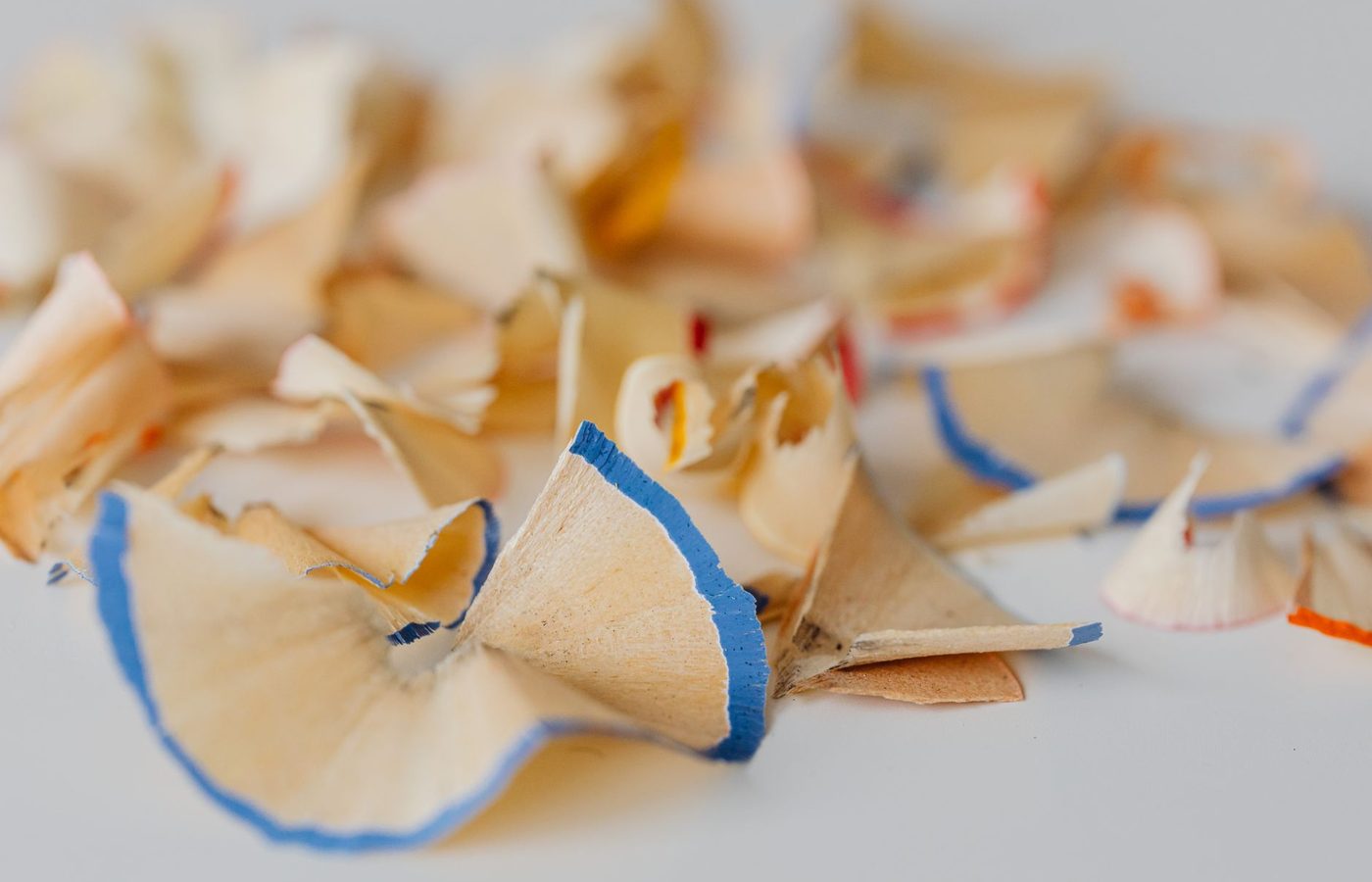 Curled cedar shavings produced by sharpening a wooden pencil